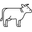 SAPI